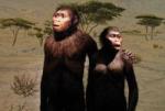 Australopithecus afarensis